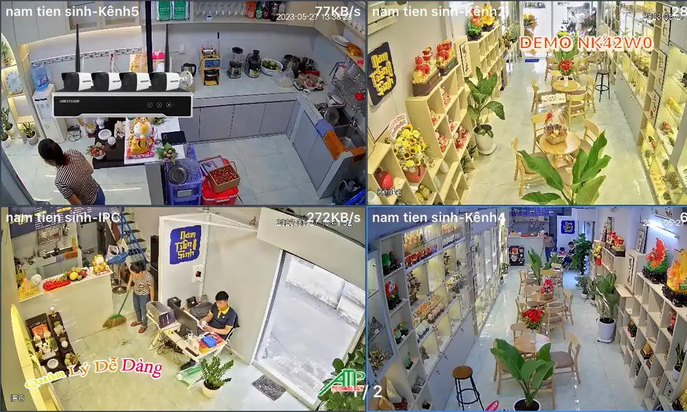 NK42W0 sắc nét Hikvision